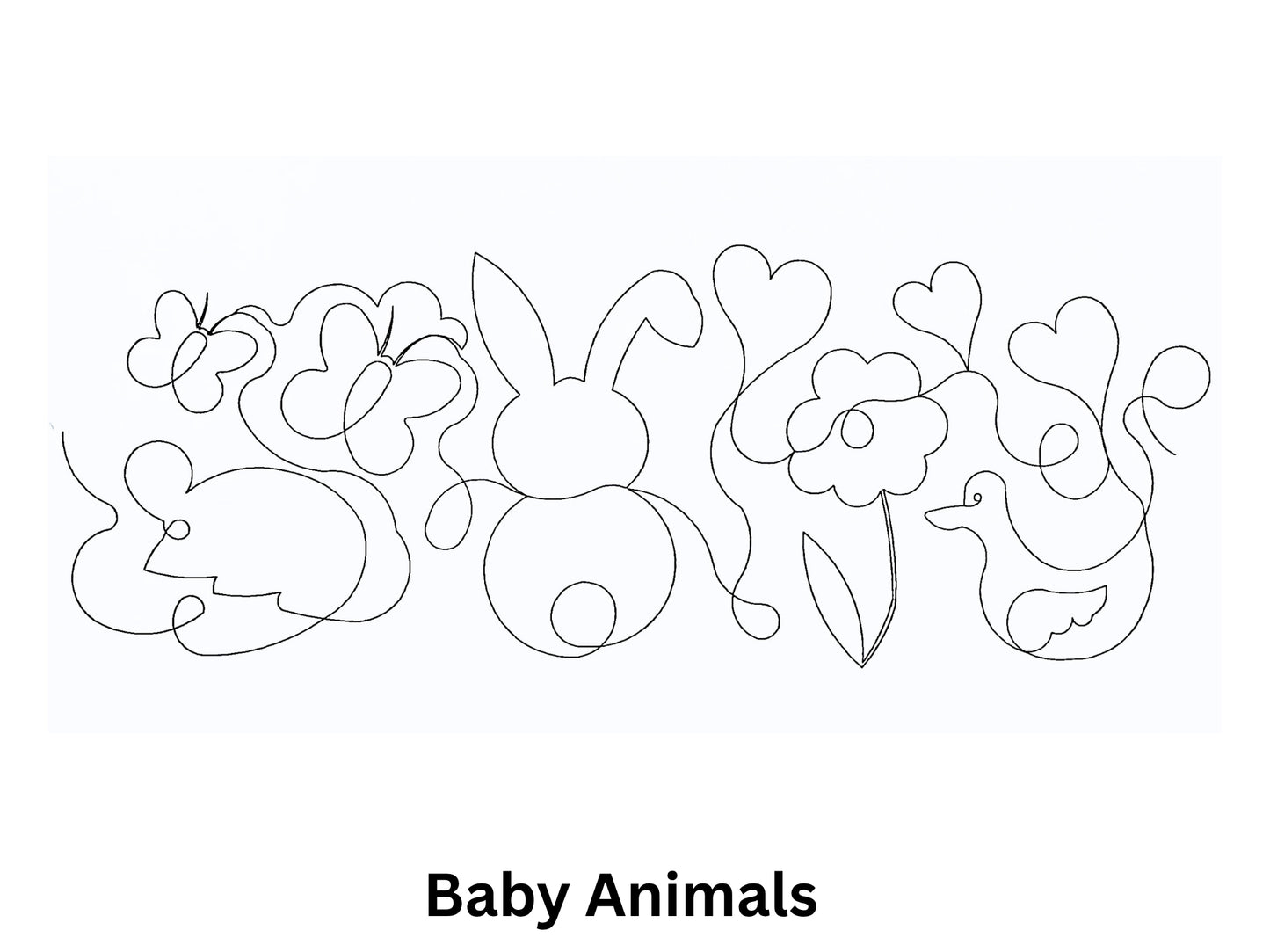 Baby Animals