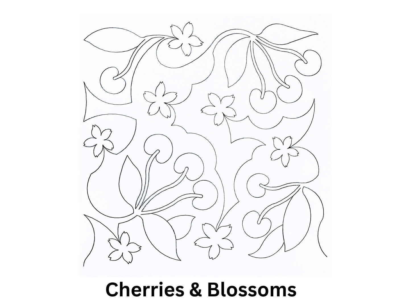 Cherries & Blossoms