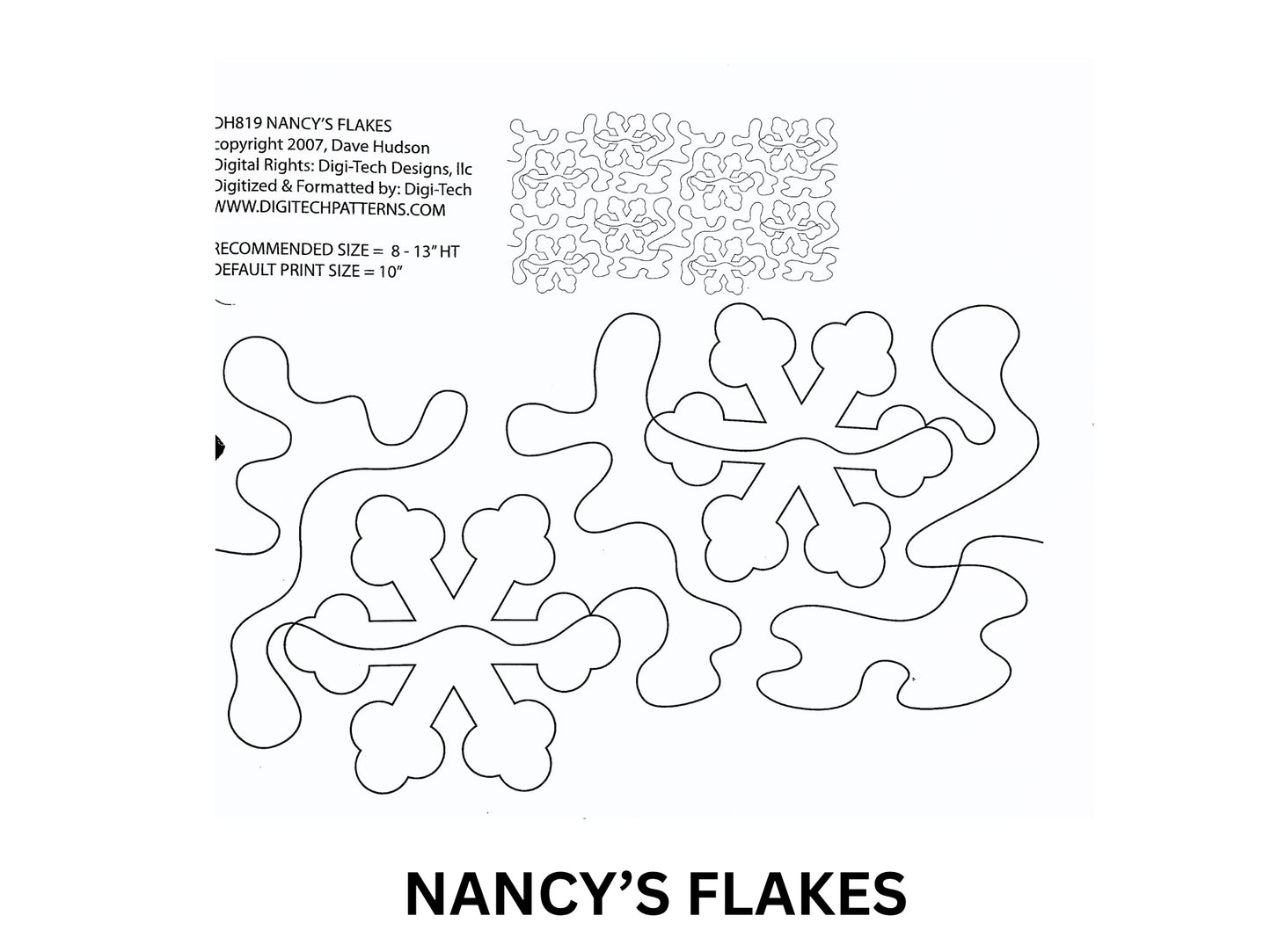 Nancy's Flakes
