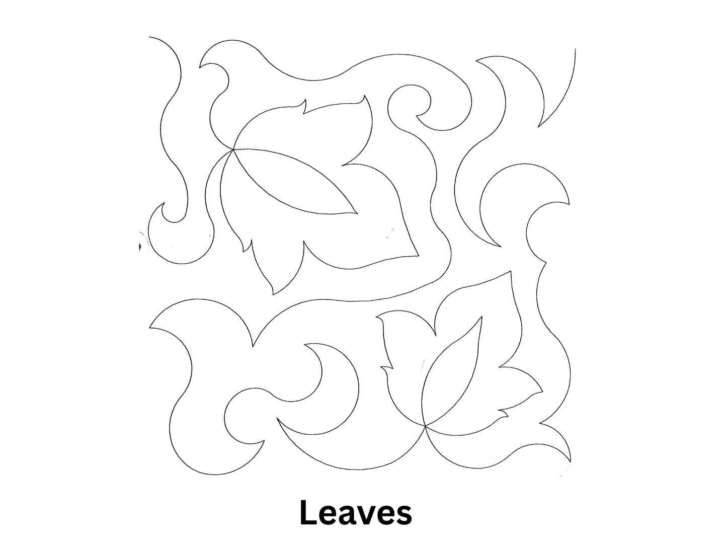 Leaves
