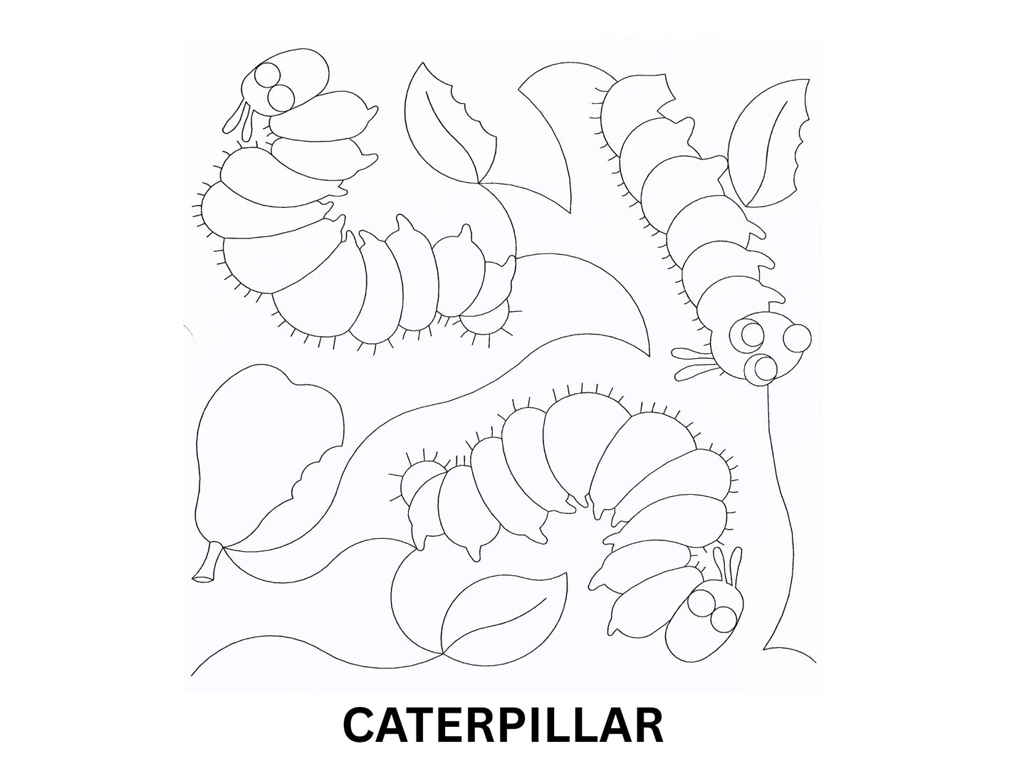 Caterpillar