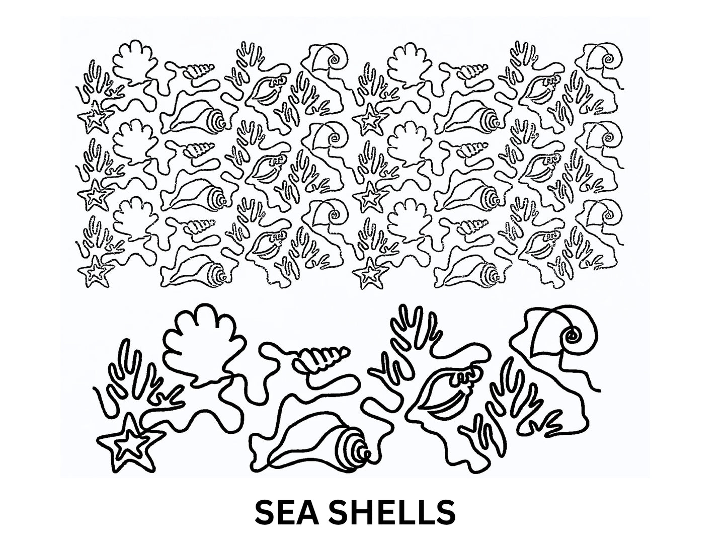 Sea Shells