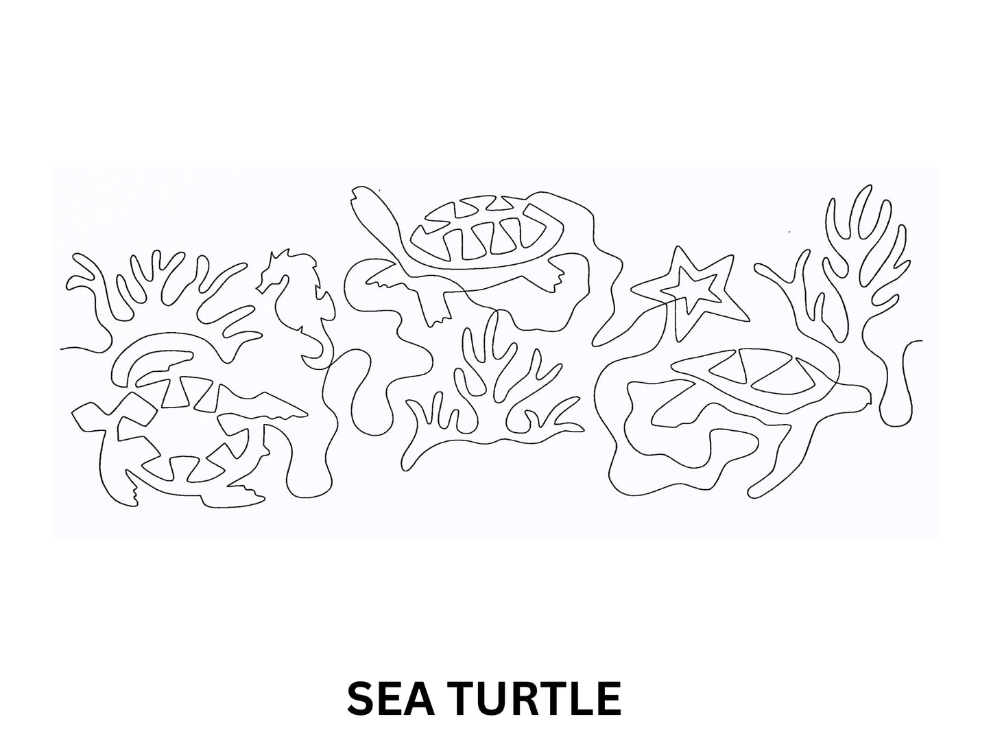 Sea Turtle