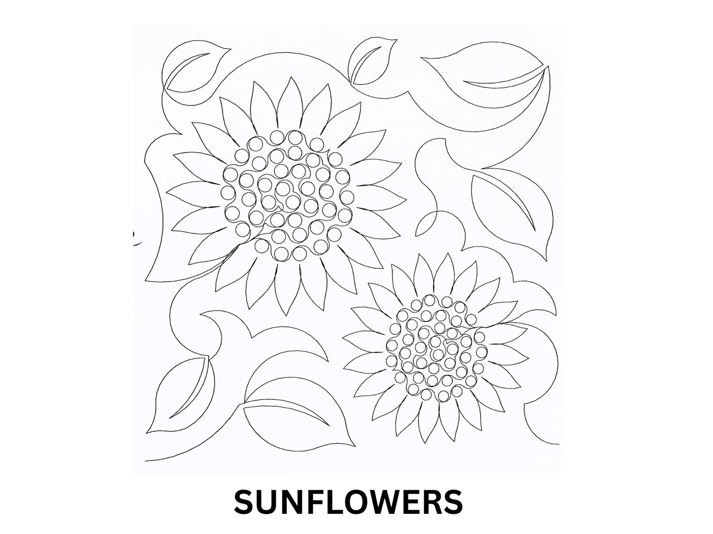 Sunflowers