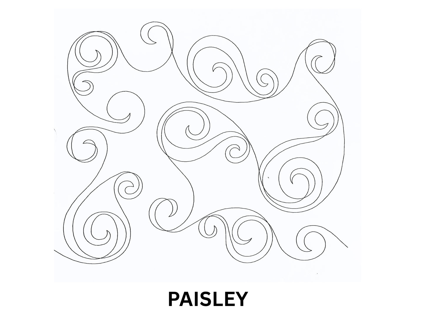 Paisley