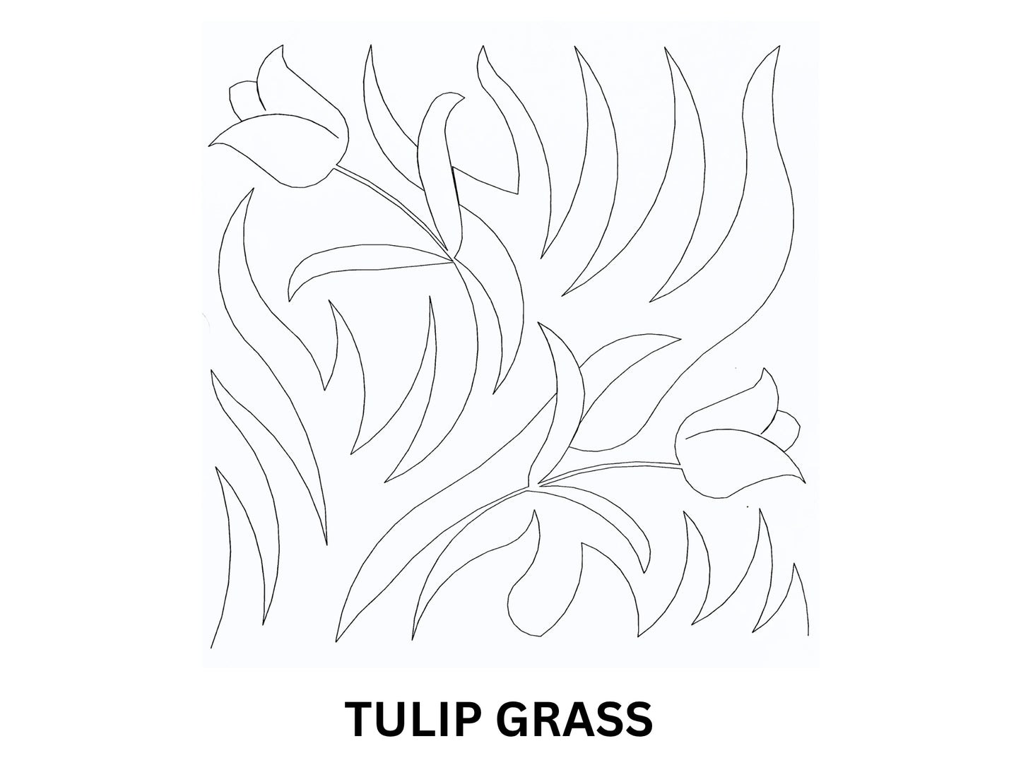 Tulip Grass