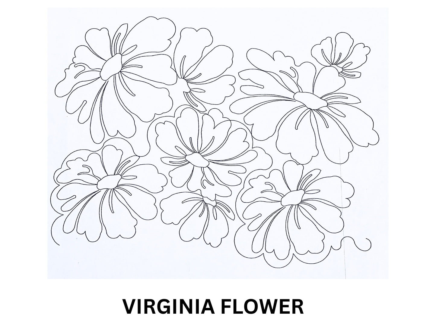 Virginia Flower