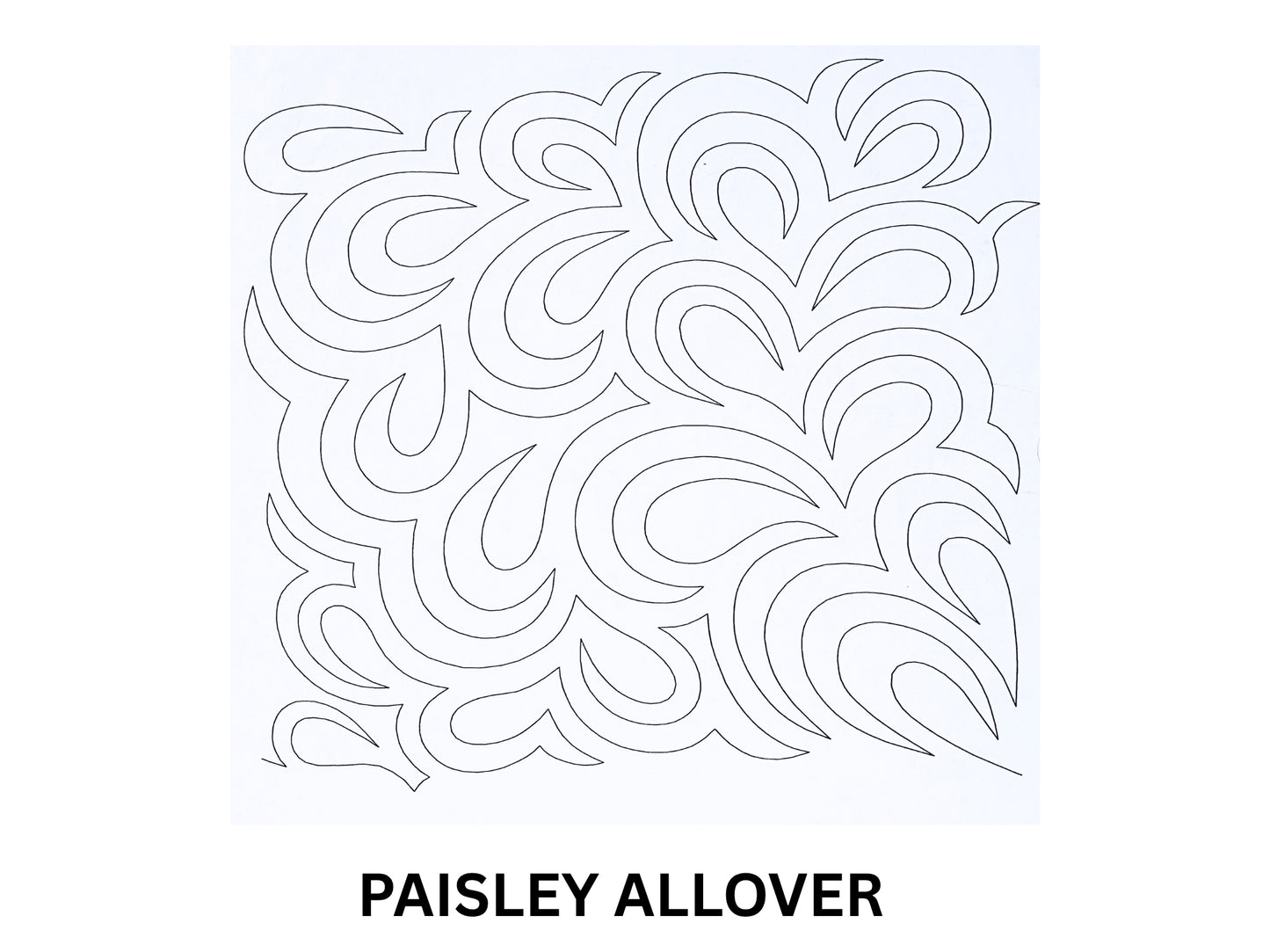 Paisley Allover
