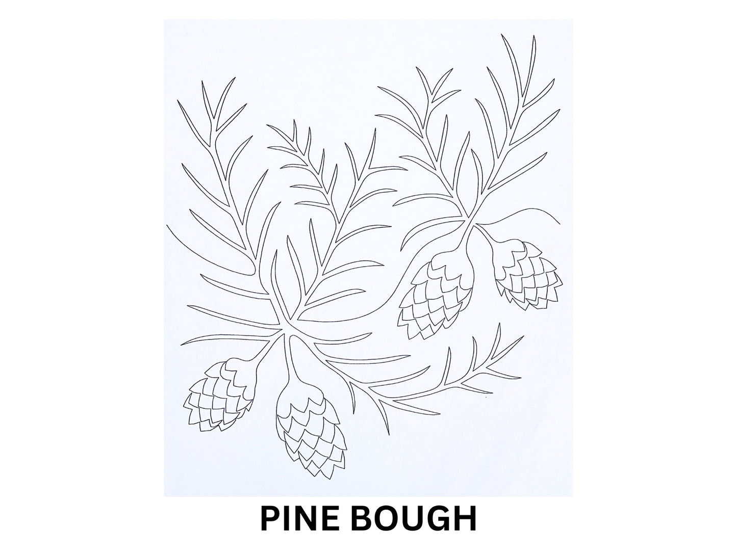Pine Bough