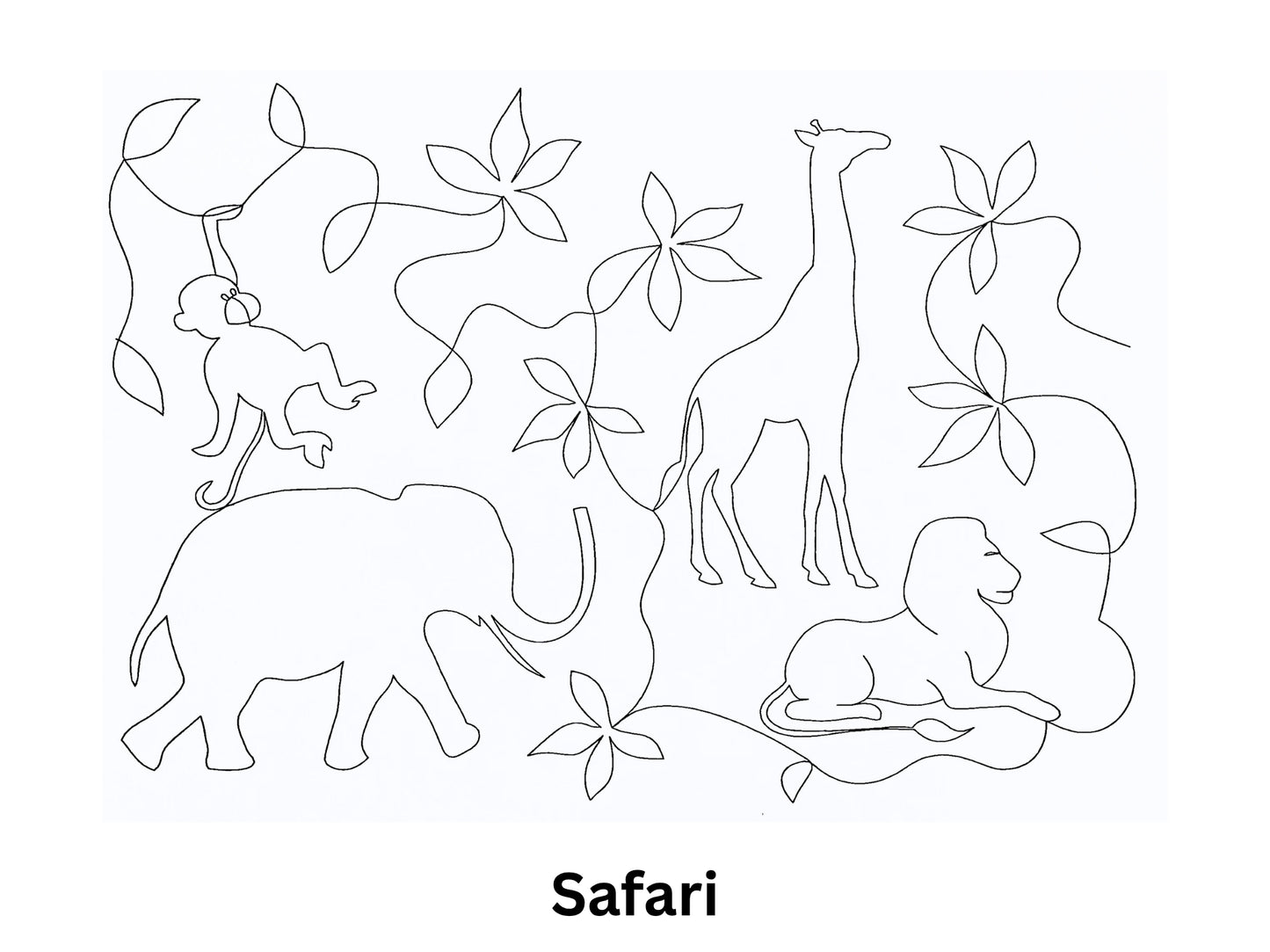 Safari