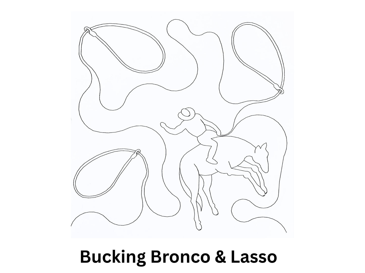 Bucking Bronco & Lasso