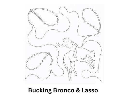 Bucking Bronco & Lasso
