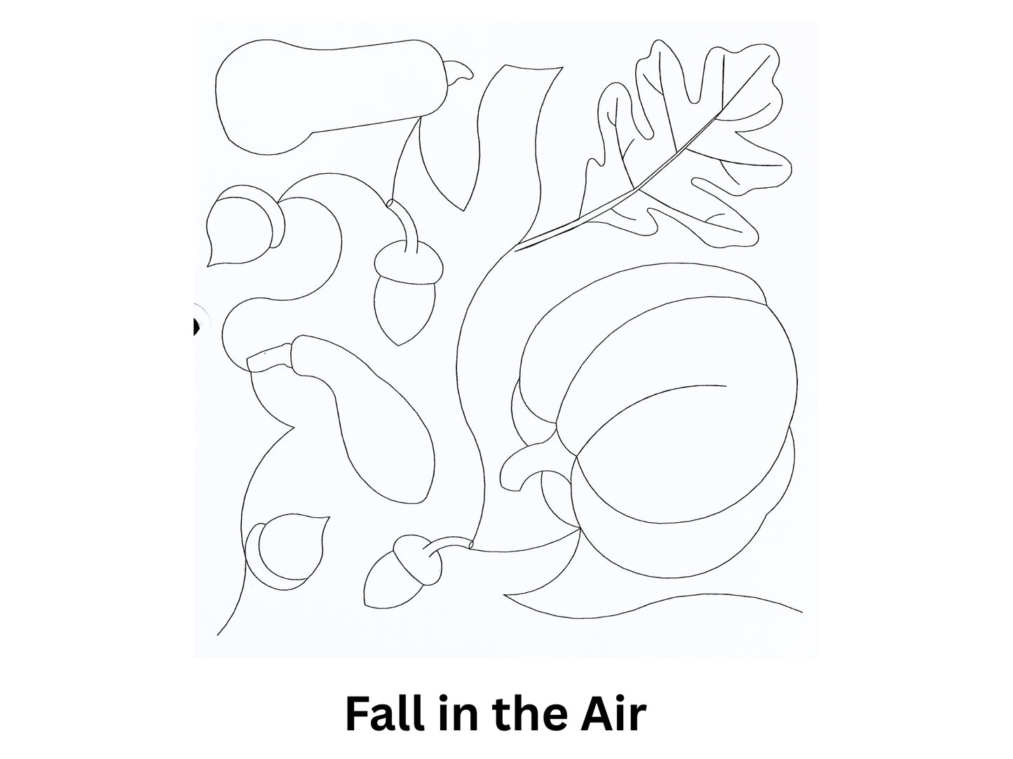 Fall in the Air