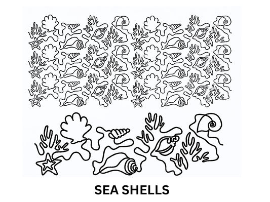 Sea Shells