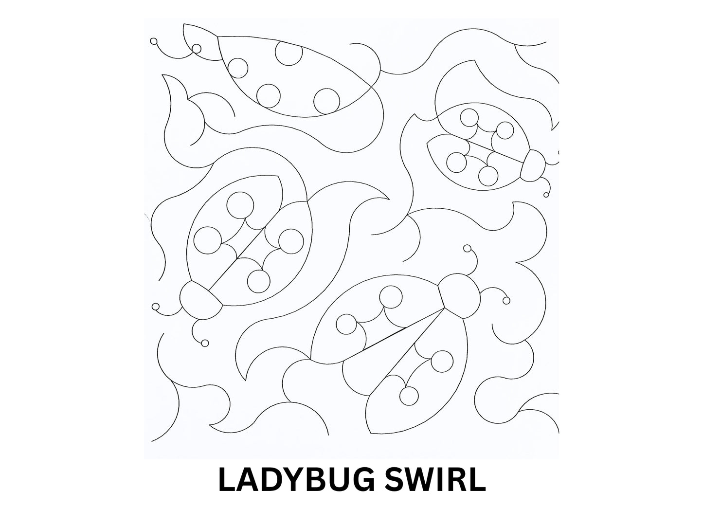 Ladybug Swirl