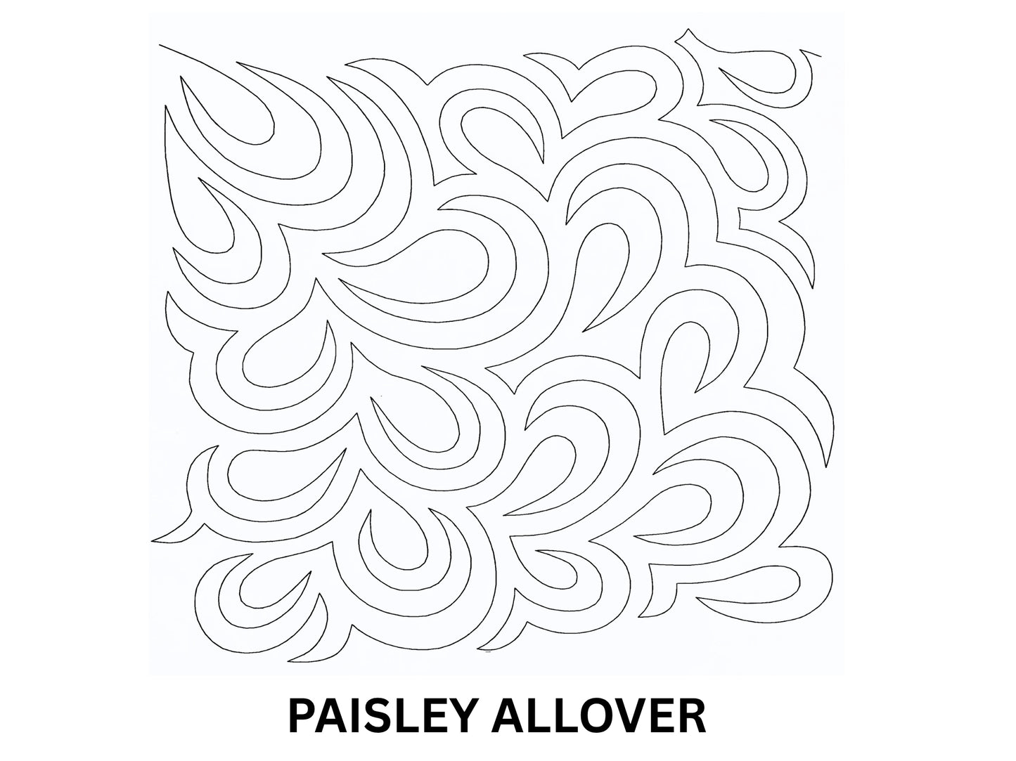 Paisley Allover